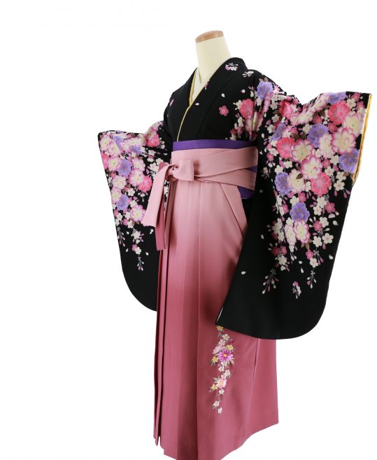 卒業式袴レンタルNo.666[2Lサイズ][新古典]黒・ピンク紫の八重桜